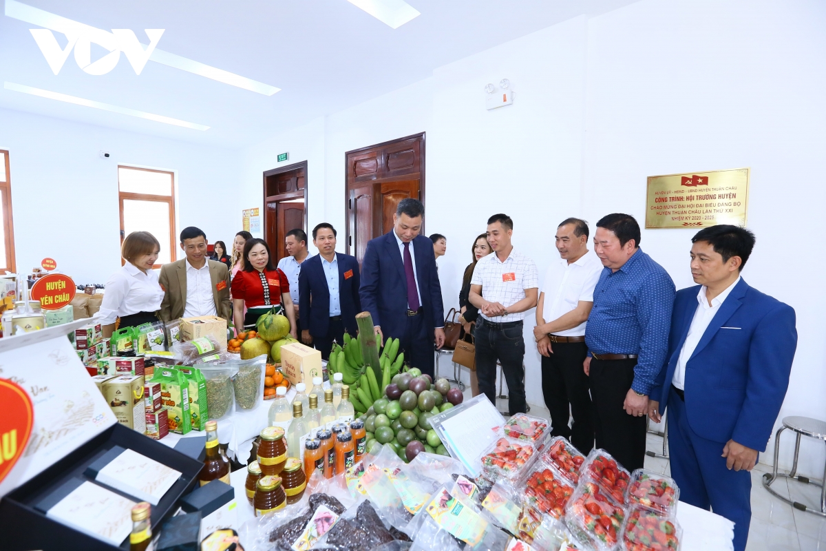 Sơn La phát huy lợi thế, tích cực thu hút đầu tư